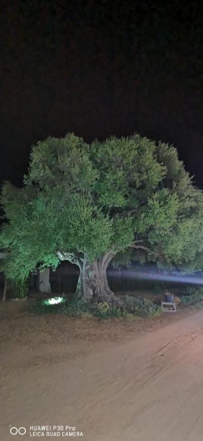 Azienda Multifunzionale S'Ozastro Marinella  Bagian luar foto